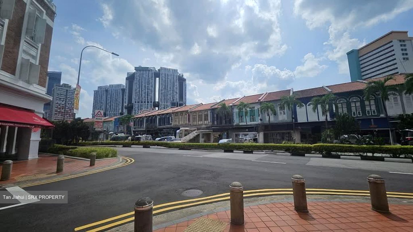 Tanjong Pagar Conservation Area (D2), Shop House #534718921